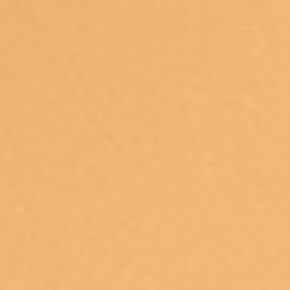 Warm Beige Shade
